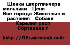 Щенки цвергпинчера мальчики › Цена ­ 25 000 - Все города Животные и растения » Собаки   . Карелия респ.,Сортавала г.